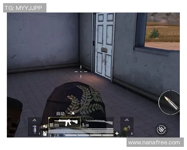 科学与和平精英的力量训练方法探究与实践指南