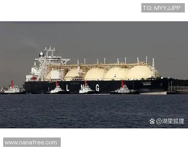 世界大师赛特别报道：LNG逆袭之路的传奇与挑战