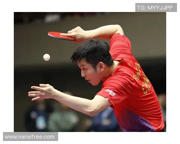 乒乓球新手必看：提升耐力的全面入门指南与训练技巧分享